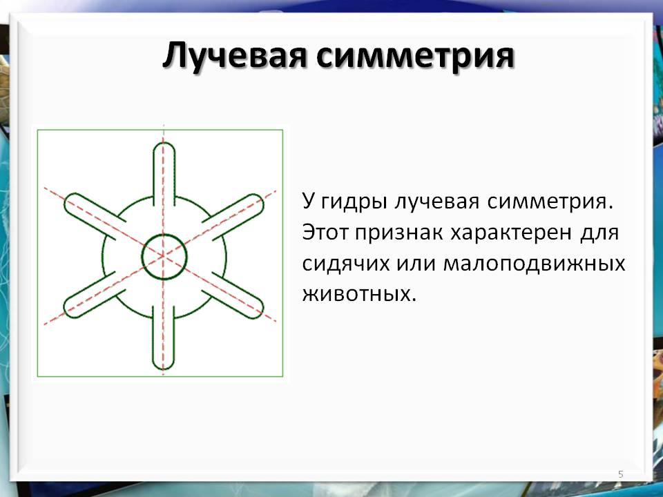 Кракен как войти