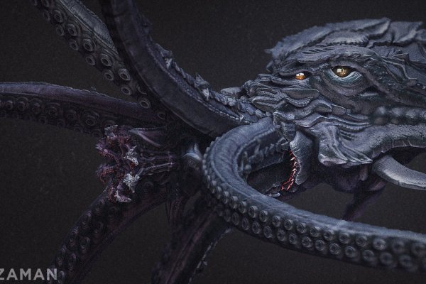 Kraken 12 at